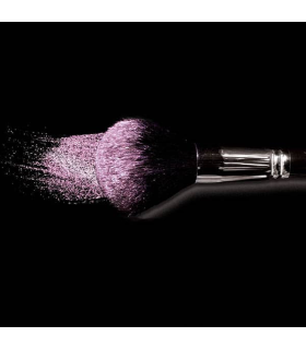 Poudre Cosmique Vénus Multireflets Rose, Parisax